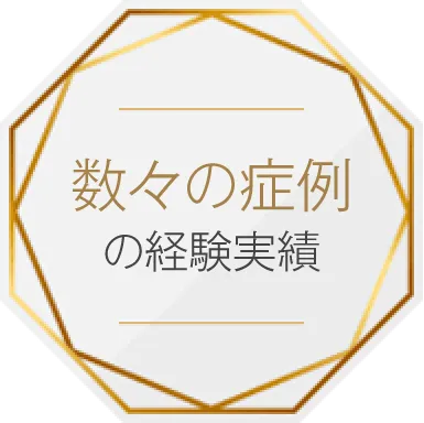 数々の症例の経験実績